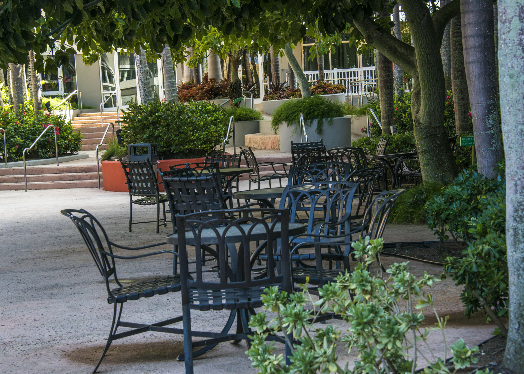 Aquarius Vacation Club At Dorado Del Mar Hotell Eksteriør bilde